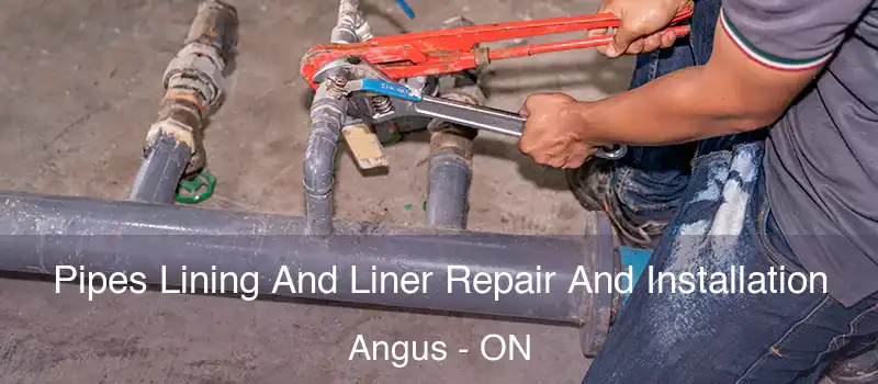  Pipes Lining And Liner Repair And Installation Angus - ON