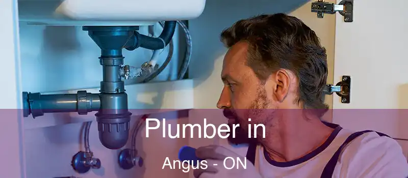  Plumber in Angus - ON