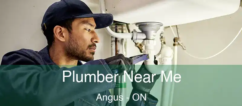  Plumber Near Me Angus - ON