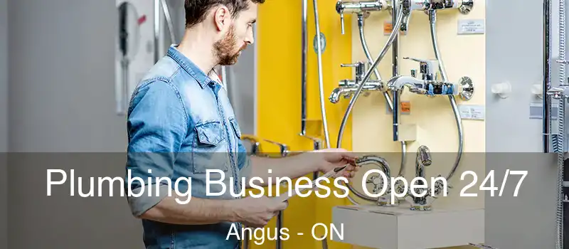  Plumbing Business Open 24/7 Angus - ON