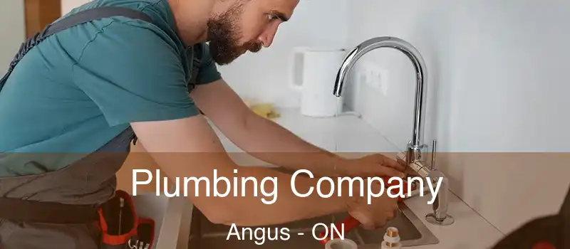  Plumbing Company Angus - ON