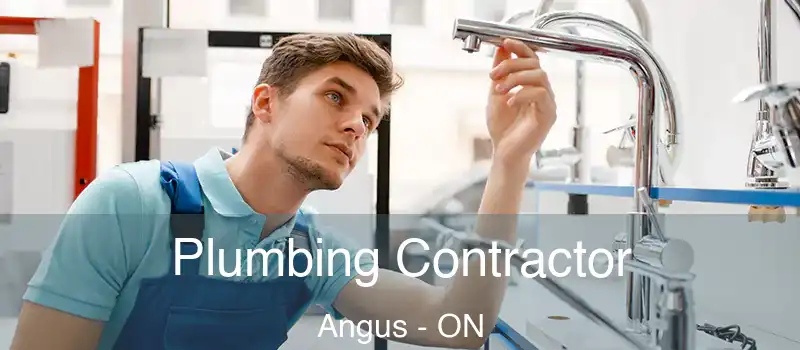  Plumbing Contractor Angus - ON