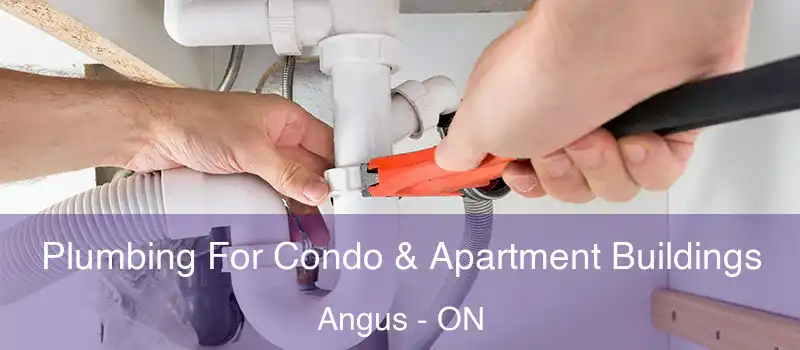  Plumbing For Condo & Apartment Buildings Angus - ON