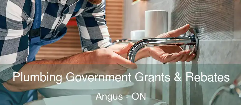  Plumbing Government Grants & Rebates Angus - ON