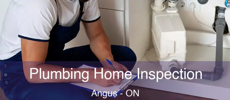  Plumbing Home Inspection Angus - ON