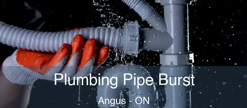  Plumbing Pipe Burst Angus - ON