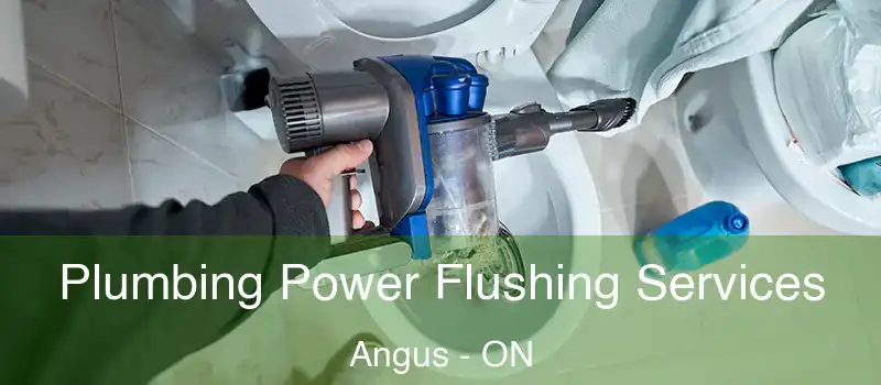  Plumbing Power Flushing Services Angus - ON