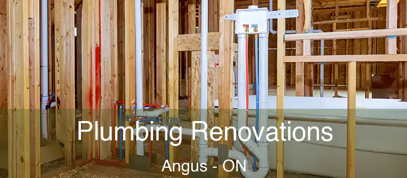  Plumbing Renovations Angus - ON