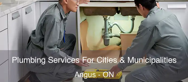  Plumbing Services For Cities & Municipalities Angus - ON