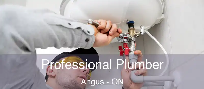  Professional Plumber Angus - ON