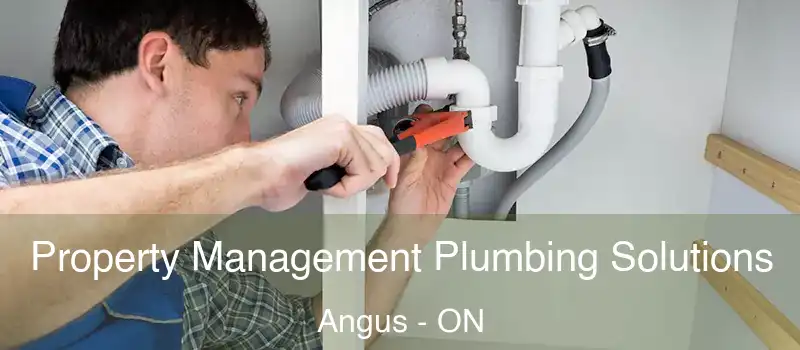  Property Management Plumbing Solutions Angus - ON