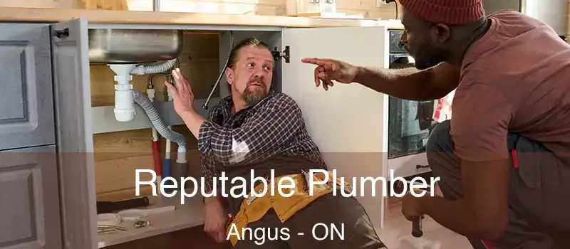  Reputable Plumber Angus - ON