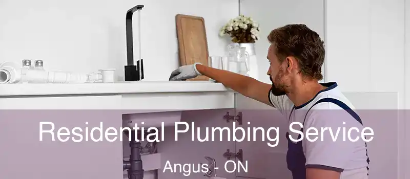  Residential Plumbing Service Angus - ON