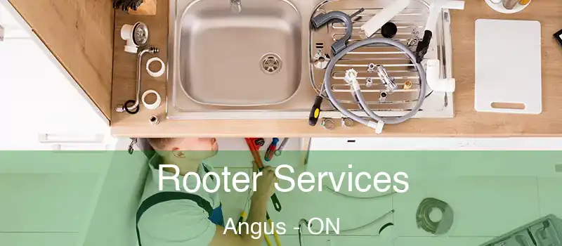  Rooter Services Angus - ON