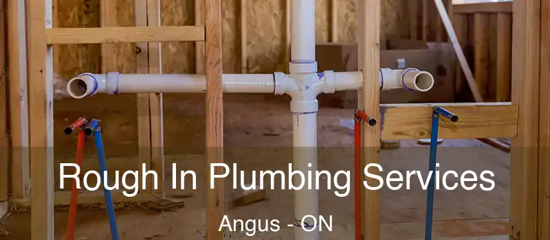  Rough In Plumbing Services Angus - ON