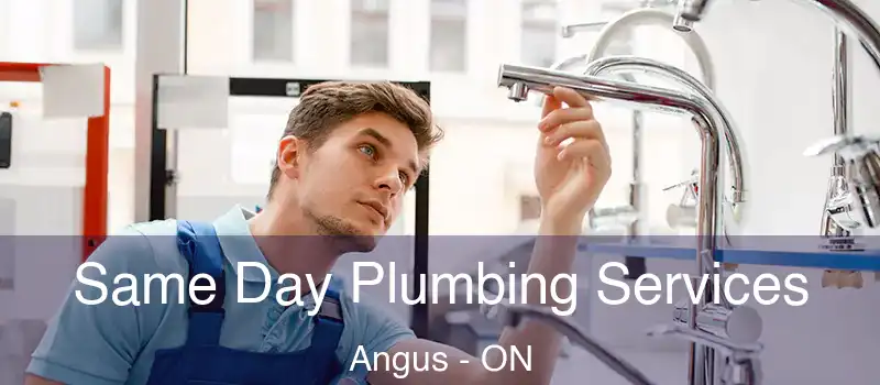  Same Day Plumbing Services Angus - ON