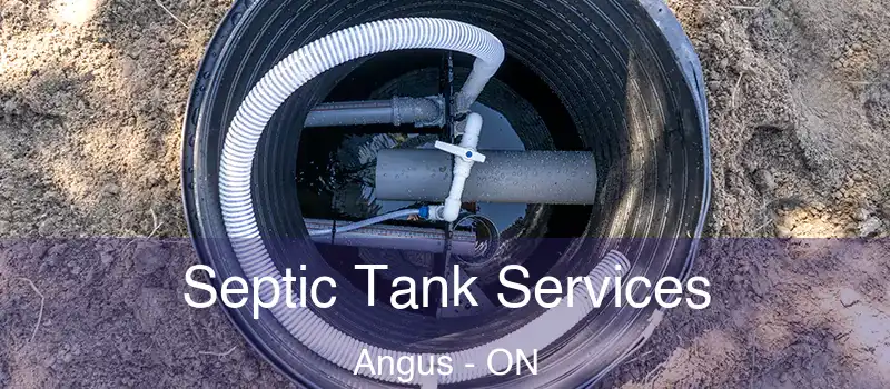  Septic Tank Services Angus - ON