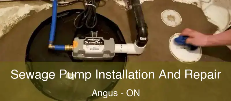  Sewage Pump Installation And Repair Angus - ON