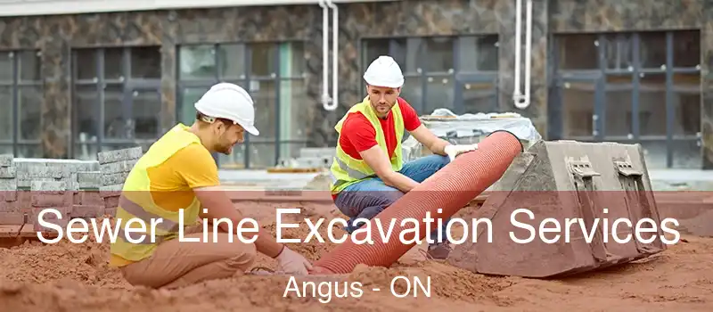  Sewer Line Excavation Services Angus - ON