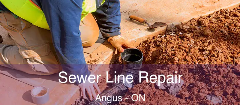  Sewer Line Repair Angus - ON