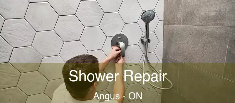  Shower Repair Angus - ON