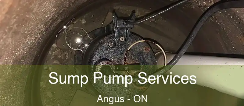  Sump Pump Services Angus - ON