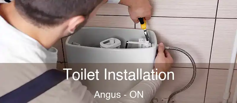  Toilet Installation Angus - ON