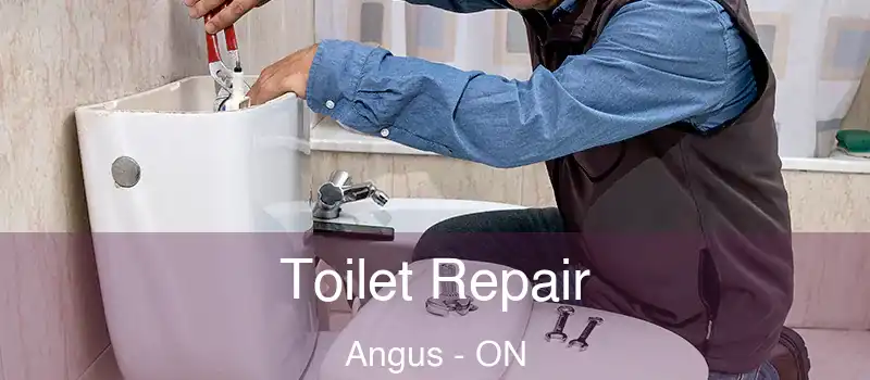  Toilet Repair Angus - ON