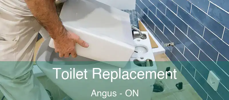  Toilet Replacement Angus - ON