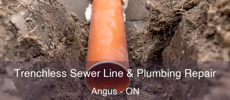  Trenchless Sewer Line & Plumbing Repair Angus - ON