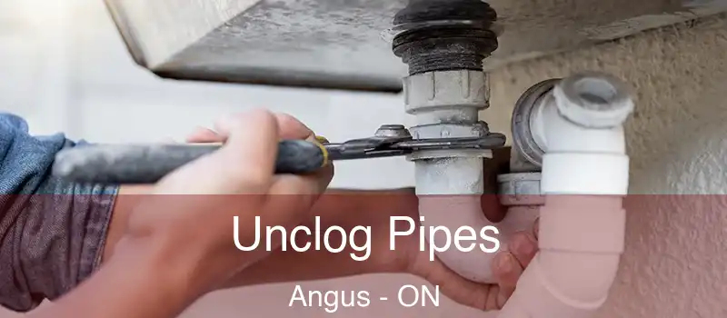  Unclog Pipes Angus - ON