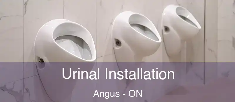  Urinal Installation Angus - ON