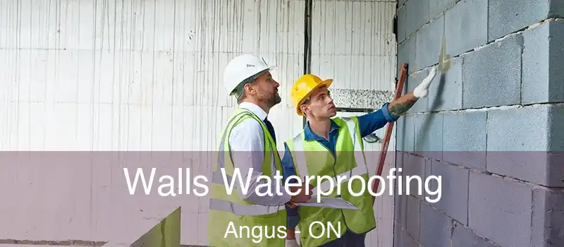  Walls Waterproofing Angus - ON