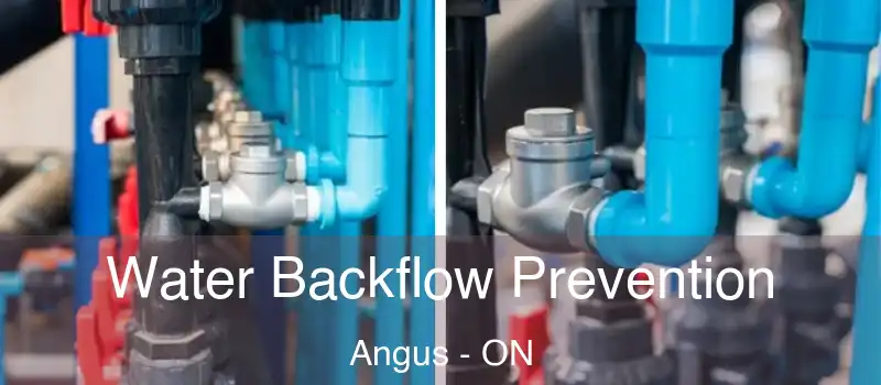  Water Backflow Prevention Angus - ON