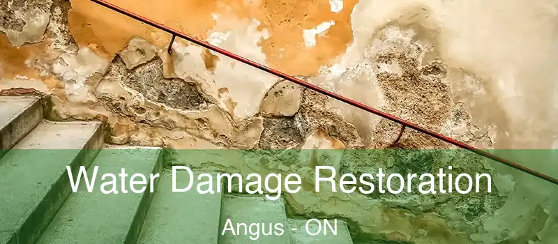  Water Damage Restoration Angus - ON