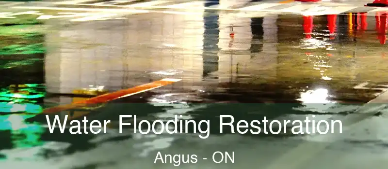  Water Flooding Restoration Angus - ON