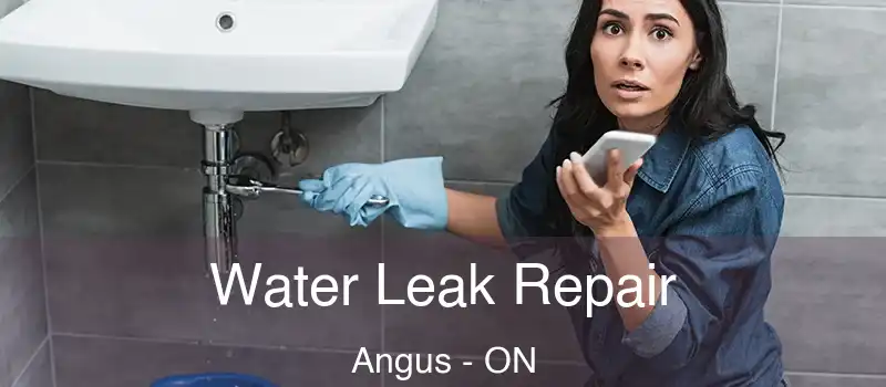  Water Leak Repair Angus - ON