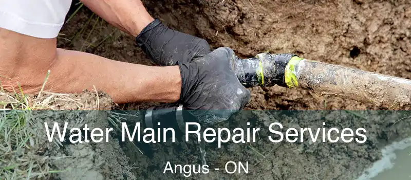  Water Main Repair Services Angus - ON