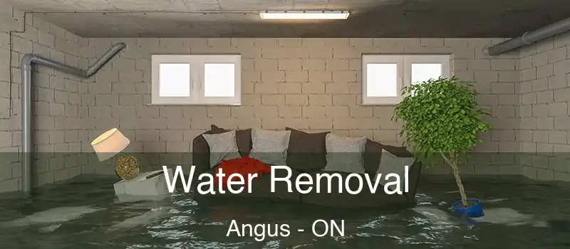  Water Removal Angus - ON