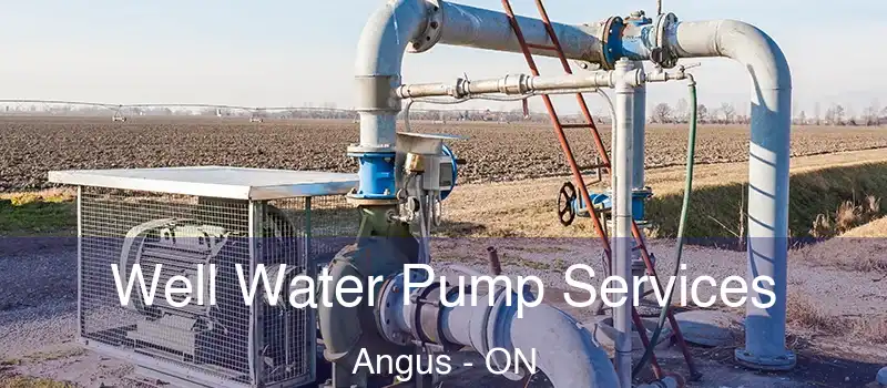  Well Water Pump Services Angus - ON